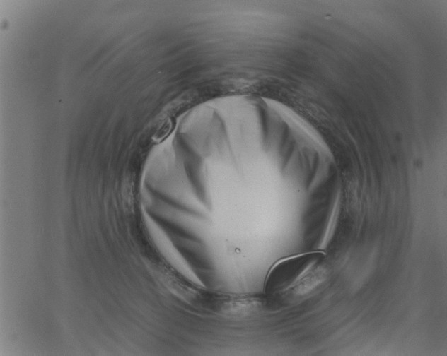 X0000066100274200603312033