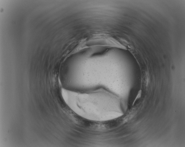 X0000066100276200603312033