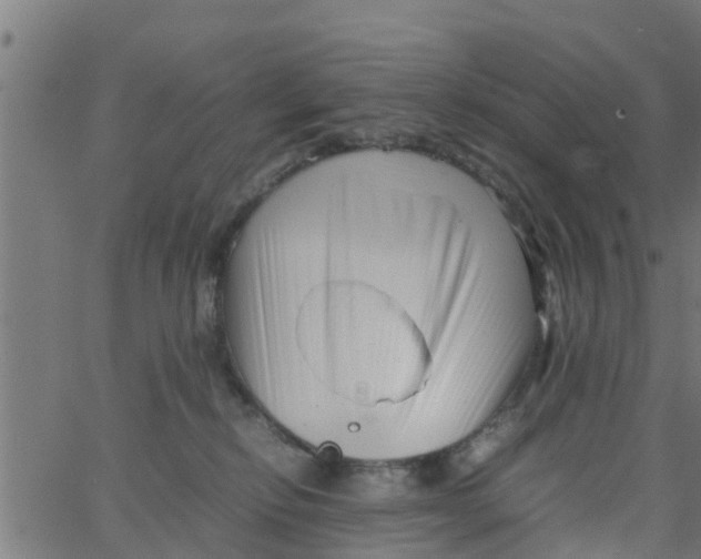 X0000066100278200603312033