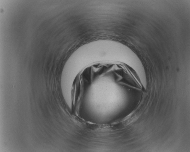 X0000066100280200603312033