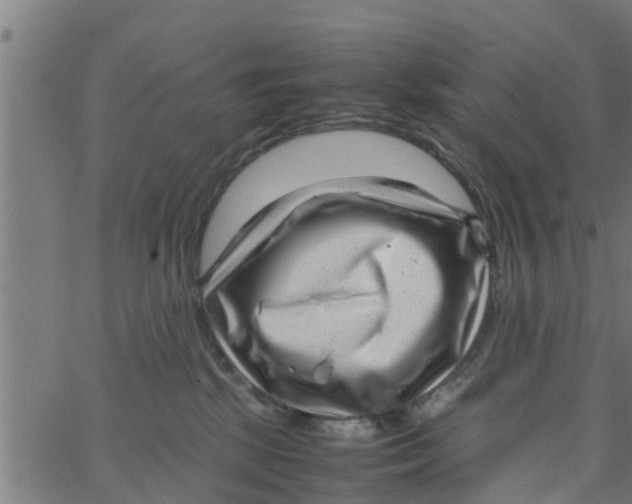 X0000066100281200603312033