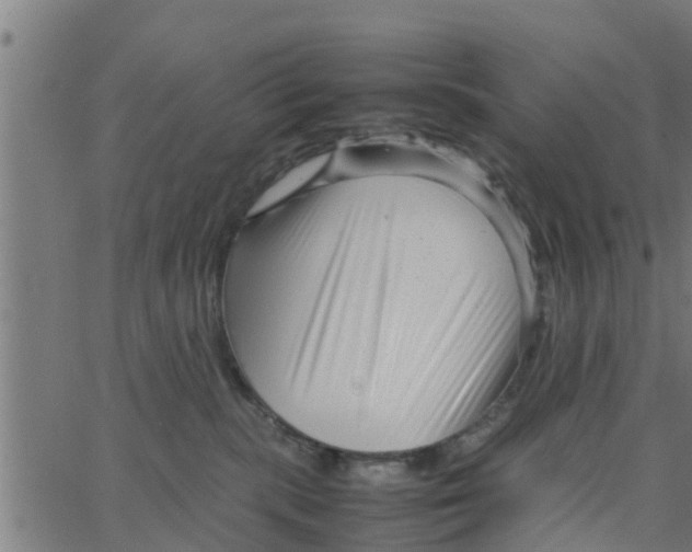 X0000066100283200603312033