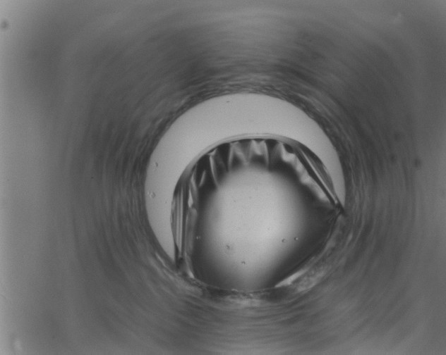 X0000066100284200603312033