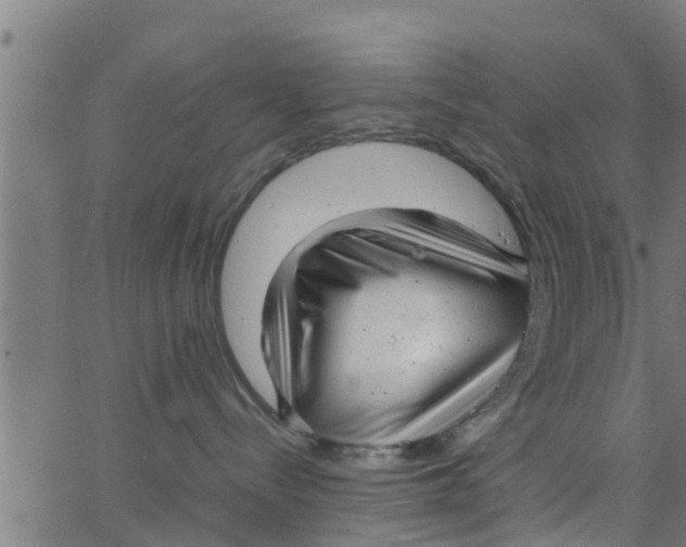 X0000066100288200603312033