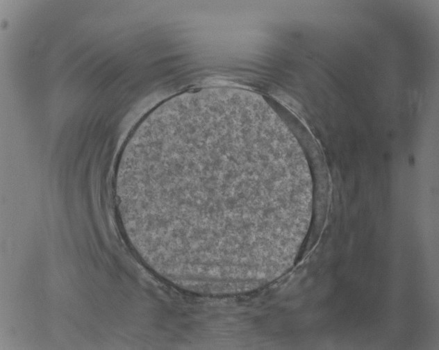 X0000066100289200603312032