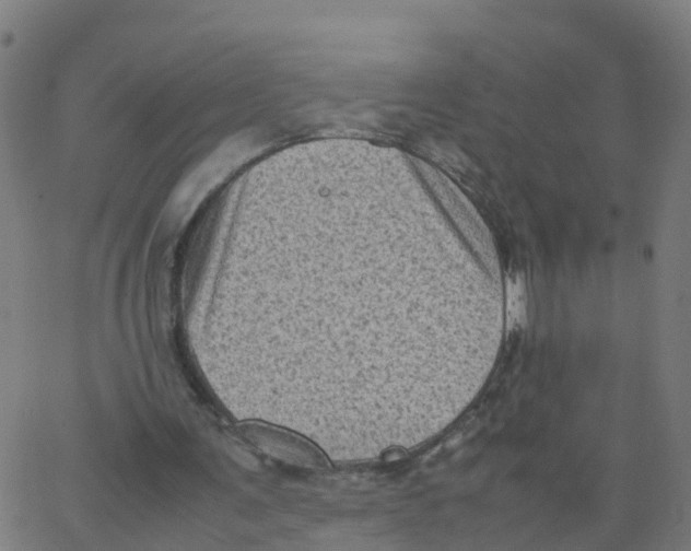 X0000066100291200603312032