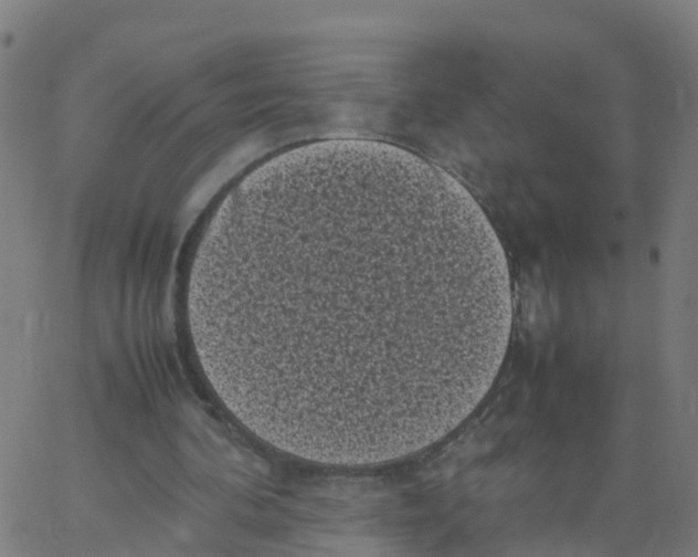 X0000066100292200603312032