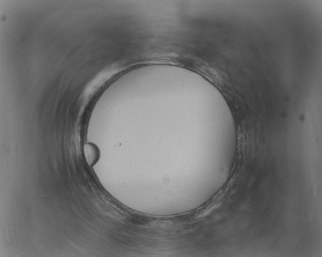 X0000066100294200603312032