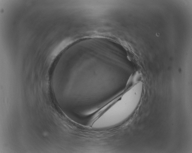 X0000066100295200603312032