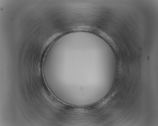 X0000066100298200603312032