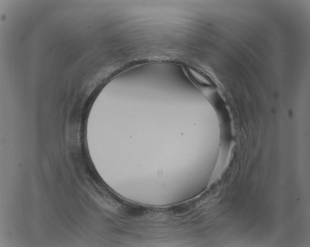 X0000066100299200603312032