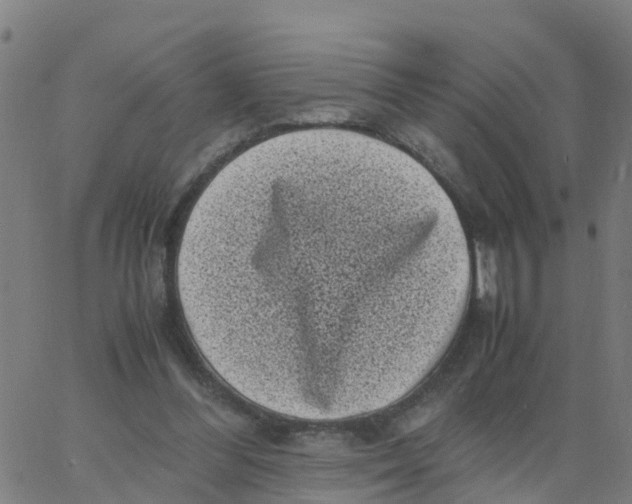 X0000066100300200603312032