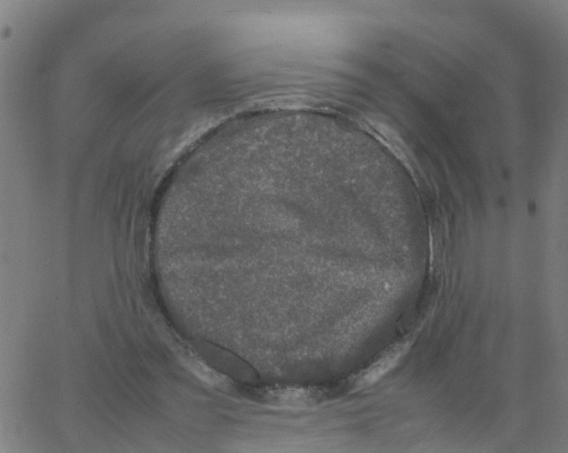 X0000066100301200603312032