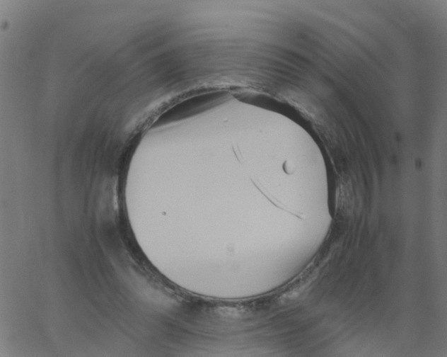 X0000066100302200603312032