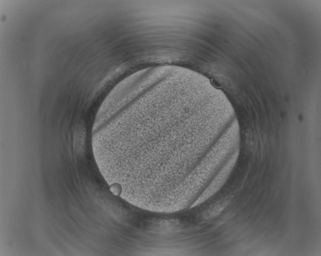 X0000066100304200603312032