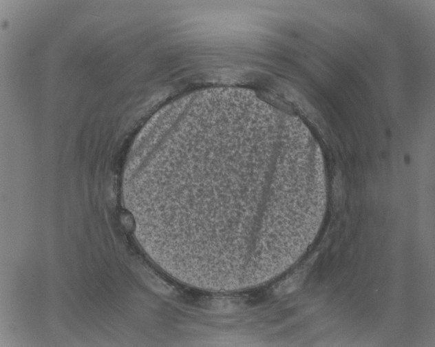 X0000066100305200603312032