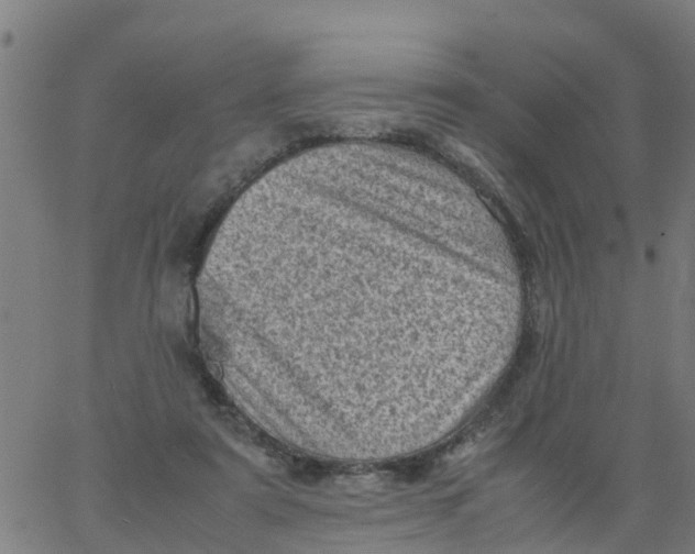 X0000066100307200603312032