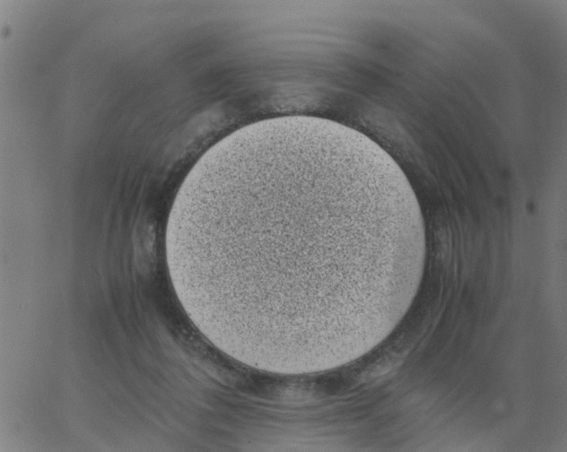 X0000066100308200603312032