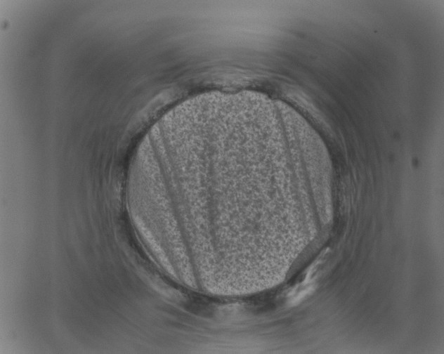 X0000066100309200603312032