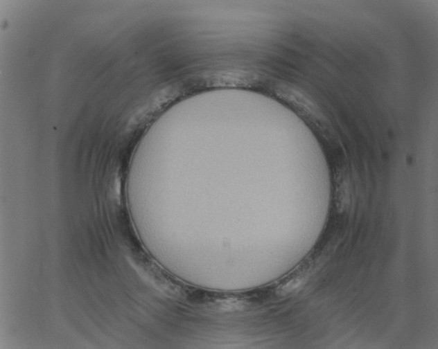 X0000066100310200603312032