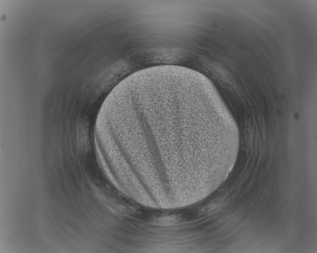 X0000066100312200603312032