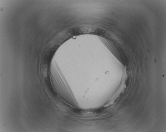 X0000066100315200603312032