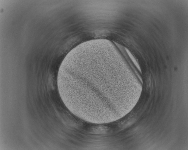 X0000066100316200603312032