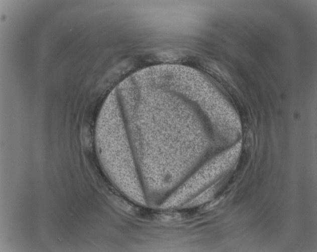 X0000066100317200603312032