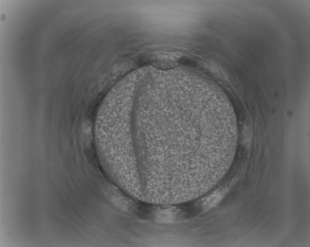 X0000066100321200603312032