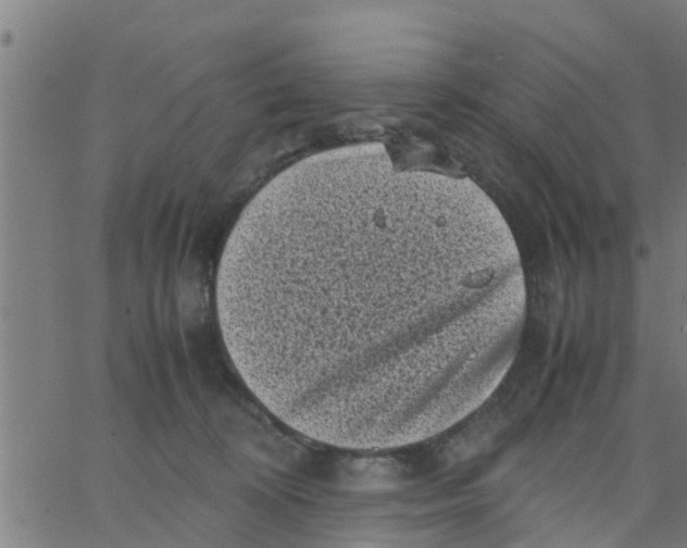 X0000066100324200603312032