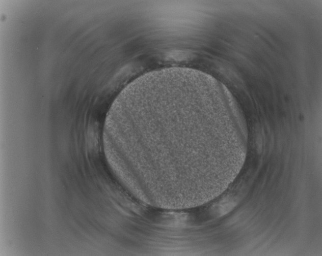 X0000066100328200603312031