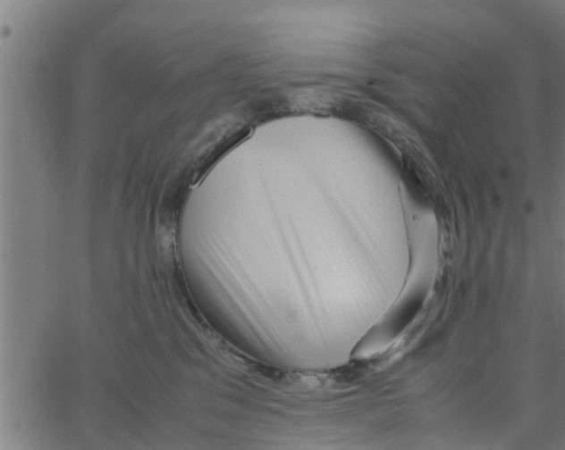 X0000066100329200603312031