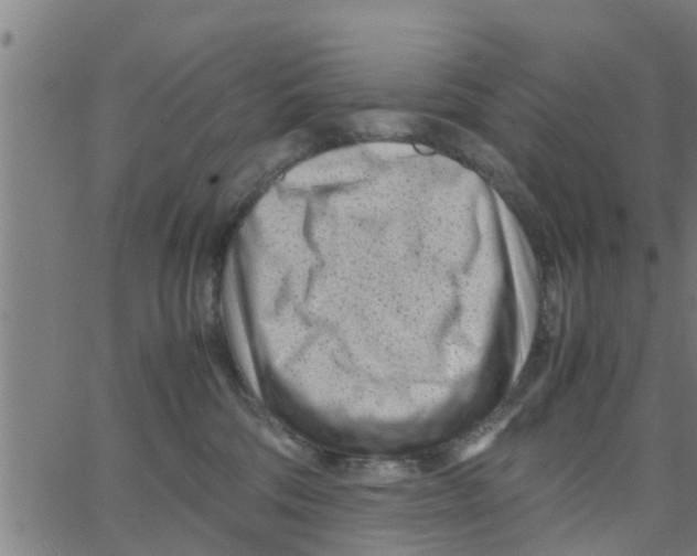 X0000066100330200603312031