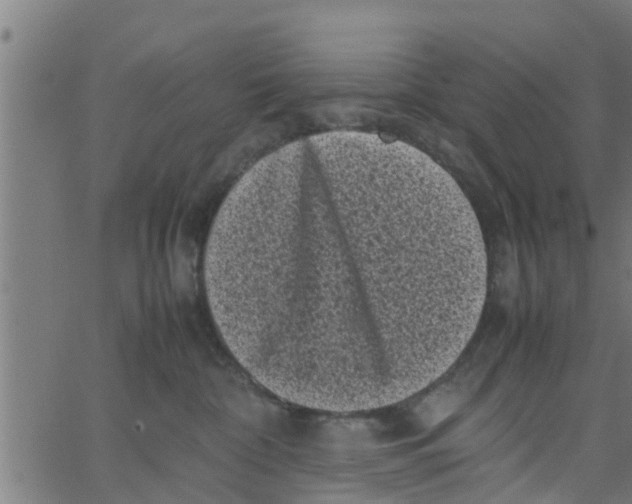 X0000066100332200603312031