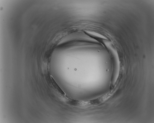 X0000066100333200603312031