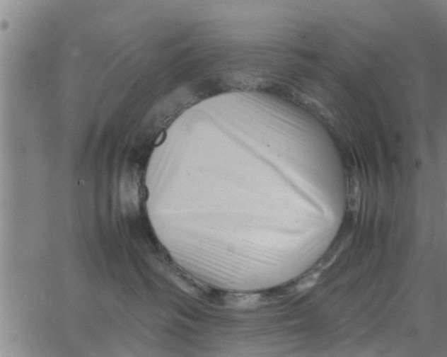 X0000066100334200603312031