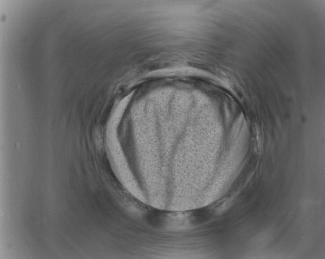 X0000066100335200603312031