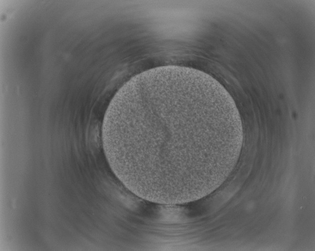 X0000066100336200603312031