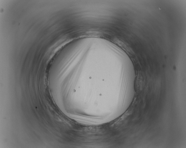 X0000066100338200603312031