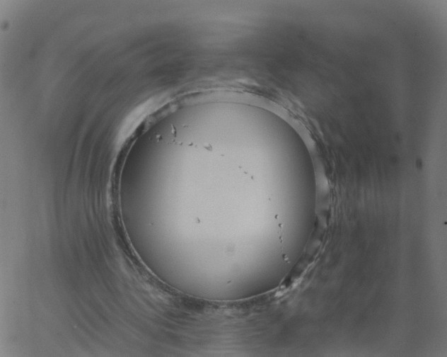 X0000066100340200603312031