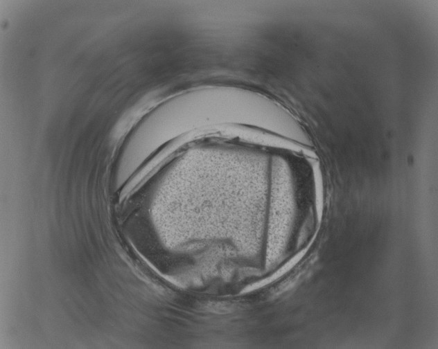 X0000066100341200603312031