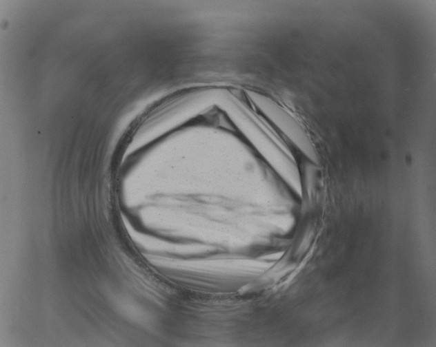 X0000066100342200603312031