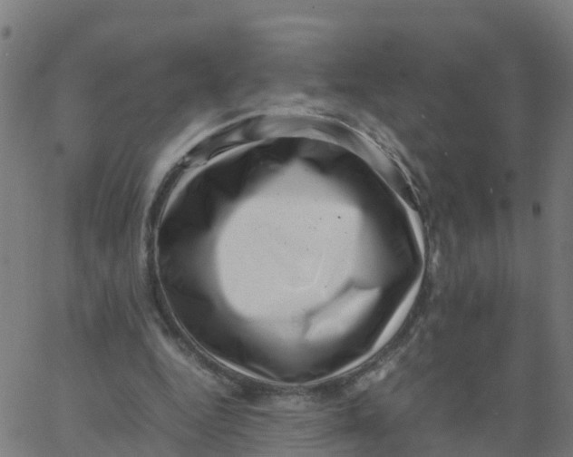 X0000066100344200603312031