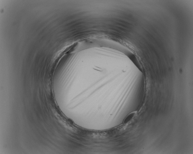 X0000066100345200603312031