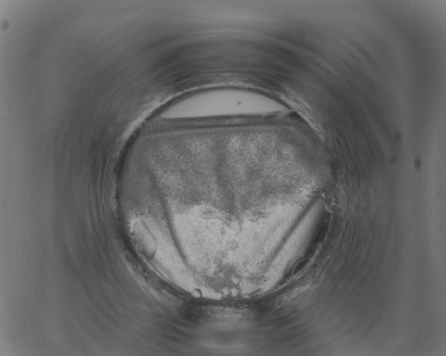 X0000066100347200603312031