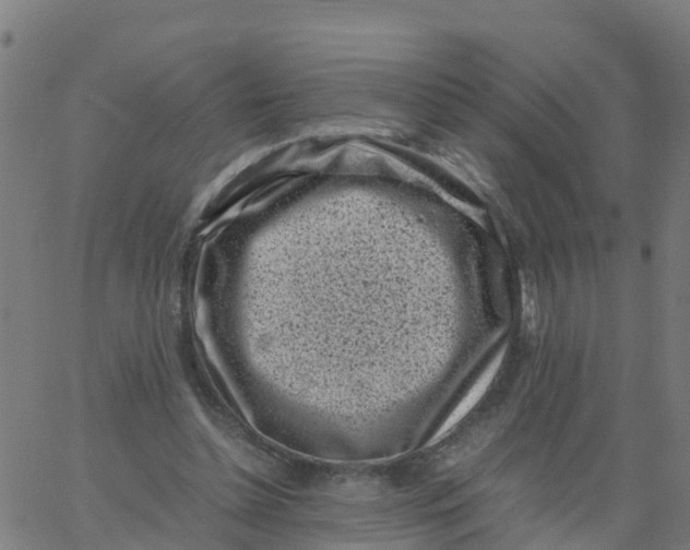 X0000066100348200603312031