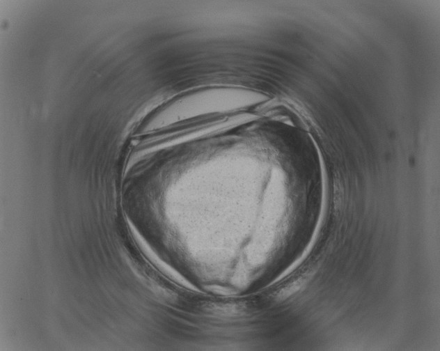 X0000066100349200603312031