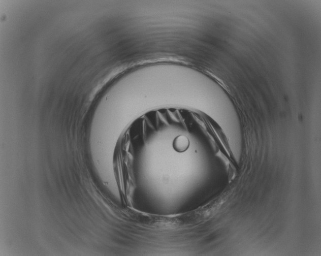 X0000066100350200603312031