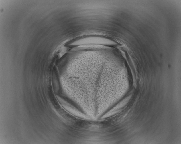 X0000066100352200603312031