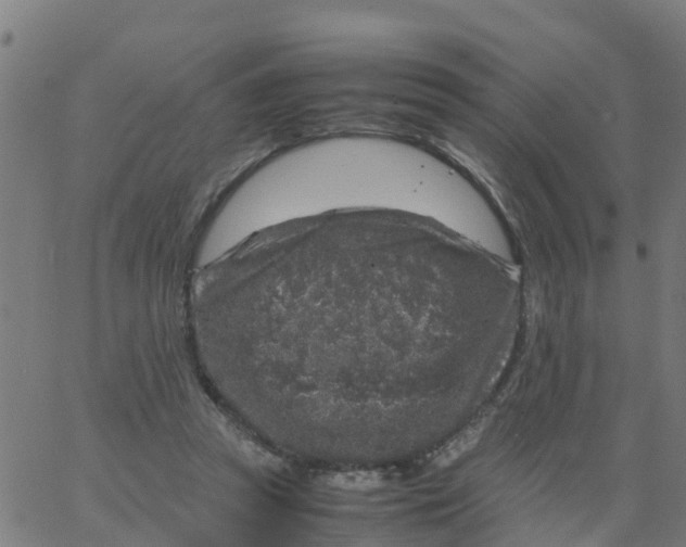 X0000066100353200603312031